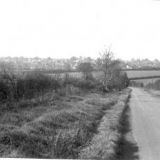 Pawdy Hill 11 03