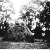Making A Hay Cob