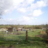 Allotments, Nottingham Road