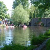 Dragon Boat Festival