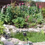 Open Gardens 2009
