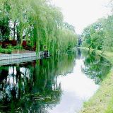 The Canal (5122) KT