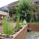 Open Gardens 2013