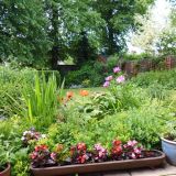 Open Gardens 2013