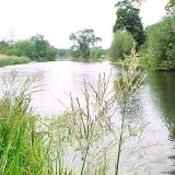 The River (5134) KT