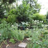 Open Gardens 2013