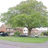 Ribble Drive (1701) KT