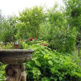 Open Gardens 2013