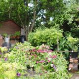 Open Gardens 2013