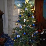 Tree No.55 by Mothers Union