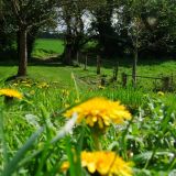 By Fishpool Brook