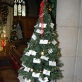 Tree No.62 by Wardens