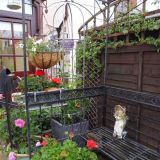 Open Gardens 2013