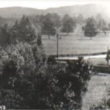 The railway embankment