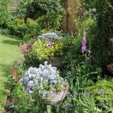 Open Gardens 2013