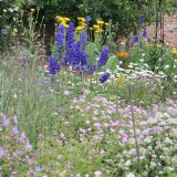 Open Gardens 2014