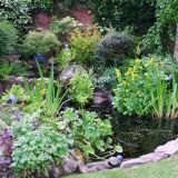Open Gardens 2011