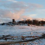 Bradgate Park