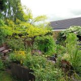 Open Gardens 2013