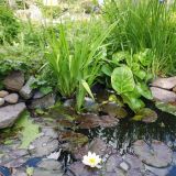 Open Gardens 2013