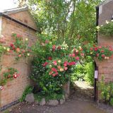 Open Gardens 2013