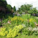 Open Gardens 2013