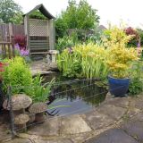 Open Gardens 2013