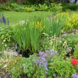 Open Gardens 2015
