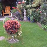Luxurious Lawn