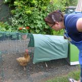 Open Gardens 2017