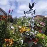 Open Gardens 2017