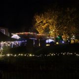 The Lights Come on