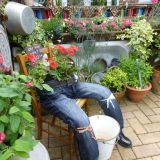 Open Gardens
