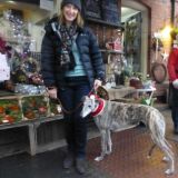 Christmas Street Market