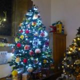 Christmas Tree Festival