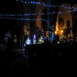 Christmas Tree Festival