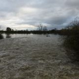 Yet More Flooding