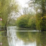 Yet More Flooding