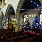 Christmas Tree Festival