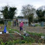 Nottingham Road Allotments 2.JPG