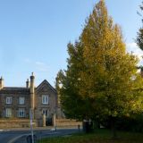 Autumn Colour