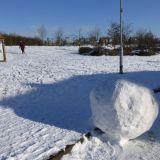 Day after the Snowstorm