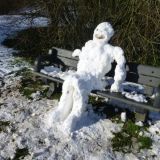 Day after the Snowstorm