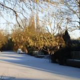 Big Freeze