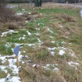 Wild about Barrow