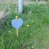 Blue Heart