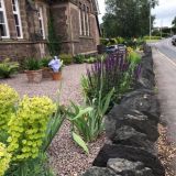 Open Gardens 2021