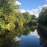 Early autumn by the canal .JPG
