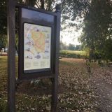 Village map and leaves .JPG