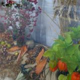 Methodists autumnal display window .JPG